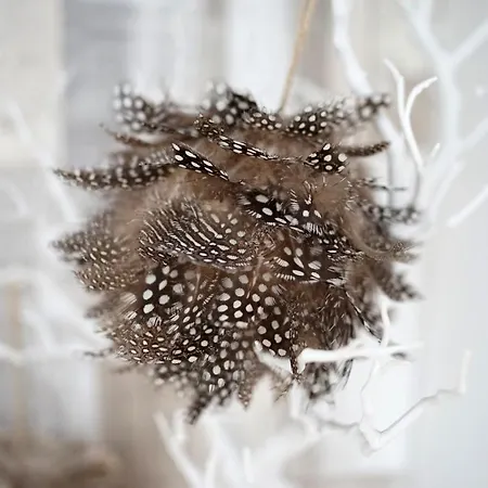 Seasons Design Ii.
